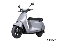 Скутер FAIDET ARENA 200 (49)