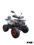 Квадроцикл WELS THUNDER AX125 PRO