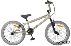 Велосипед TechTeam Goof 20"