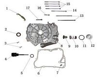 Двигатель снегохода IRBIS Dingo T150 (2015 г.) (часть 5)